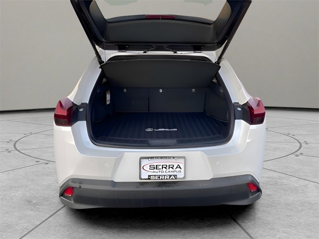 2024 Lexus UX 250h Premium